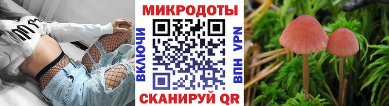 Галлюциногенные грибы мухоморы  цены наркотик  Подпорожье 
